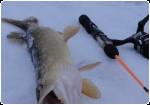 winter fishing with Fly Series