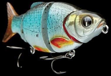 swimbaits Shad Alive 50 & 80